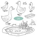 Set of cute farm animals and objects, vector goose family Royalty Free Stock Photo