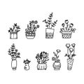 Set of cute flowers and twigs in ceramic vase isolated on white background. Vector doodle illustration. Perfect for cards, Royalty Free Stock Photo