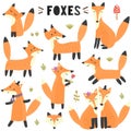 Set of cute foxes. Great for children and kids design