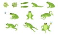 Set of Cute Frog and Frog Prince cartoon characters Royalty Free Stock Photo