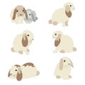 Set of cute funny bunnies. Cute hand drawn design. Bunny Set one of three