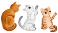 Set of cute funny cats in full growth. Isolated watercolor elements. A red tabby cat stretches with a paw. The grey cat is playing