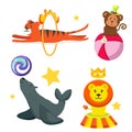 Set cute, funny circus animals