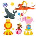 Set cute, funny circus animals