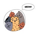 Set of cute funny color doodles of different cats.