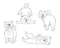 Set of cute funny furry dogs, cartoon drawing black lines silhouettes of adorable pets, editable vector illustration on white back Royalty Free Stock Photo