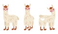 Set of cute funny llamas in pink sunglasses. Handwritten vector llamas