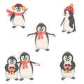 Set of cute funny penguins in cartoon style. Royalty Free Stock Photo