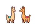 Set of cute game art pixel lamas on white background