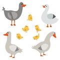 Set of cute geese Royalty Free Stock Photo