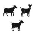 Set of cute goat vector flat illustration isolated on white background.Black silhouette.Farm animal goat cartoon character