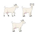 Set of cute goat vector flat illustration isolated on white background. Gentle colors. Farm animal goat cartoon character. Royalty Free Stock Photo