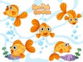 Set Cute goldfish Cartoon vector. Colorful cartoon flat aquarium fish icon