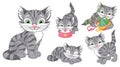 Set of cute grey cat cartoon vector illustration Royalty Free Stock Photo