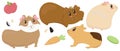 Set of cute guinea pigs - beige, brown, ginger, smooth-haired and shaggy, cute pet rodent, vector illustration