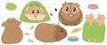 Set of cute guinea pigs - beige, brown, house, tent, sleep, rest, blanket, green, bowl, feed, cabbage, cute home rodent, vector