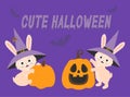 Set Cute Halloween. Funny rabbit in witch hat with pumpkin, spider and bunny with pumpkin Jack o lantern. Vector