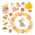 Set of cute hand-drawn autumn elements. Birds and rabbit animal. Flowers, mushrooms, pumpkin and leaves collection. Fall Royalty Free Stock Photo