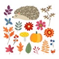 Set of cute hand-drawn autumn elements. Hedgehog, pumpkin and various flowers, berries and leaves collection. Fall