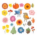 Set of cute hand-drawn autumn, fall elements. Birds and various flowers, fruit and leaves collection. vector Royalty Free Stock Photo