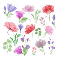 Set of cute hand drawn garden flowers.