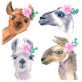 Set of cute hand drawn llamas. With cheerful eyes. Flowers and wreaths on the head.
