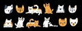 Set of cute hand drawn vector cats. Lies on the ground, rises paw, sleeps, smiles. Can be used for children books or as print for