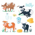 Set of cute happy cartoon cows with glass of milk, cup and haystacks. Farm animals in different poses with dairy