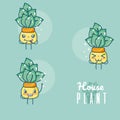 Set of cute houseplants cartoon