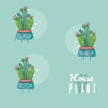 Set of cute houseplants cartoon