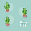 Set of cute houseplants cartoon