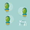 Set of cute houseplants cartoon