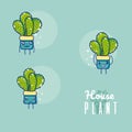 Set of cute houseplants cartoon