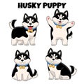 Set of cute husky puppy dog Royalty Free Stock Photo
