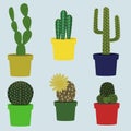 Set of cute indoor cacti