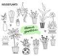 Set of cute indoor plants in pots. House of flowers and human hobbies. Botanical set - many flowerpots - cacti, tulips