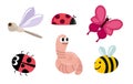 Set of cute insects for kids illustrations, flat icons Royalty Free Stock Photo