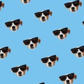 Set of cute Jack Russell Terrier dog with sunglasses. Funny collection head pattern of happy puppy Royalty Free Stock Photo