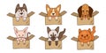 Set of cute kawaii pets in cardboard boxes Royalty Free Stock Photo