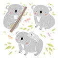 Set of cute koala bears. Koalas, dragonflies and leaves on a white background