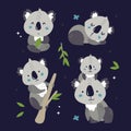 set of cute koalas