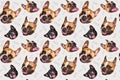 Set of cute little dog French bulldog. Funny collection head pattern of different happy puppy, isolated for print