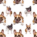 Set of cute little dog French bulldog. Funny collection pictures pattern of different happy puppy, isolated for print