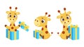 Set of cute little giraffe sitting with gift box. Funny cartoon character for print, cards, baby shower, invitation, wallpapers, Royalty Free Stock Photo
