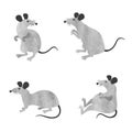 Set of cute little rats. Vector watercolor mouse collection Royalty Free Stock Photo