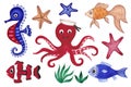 Set of cute marine creatures. Isolated hand painted watercolor illustrations on white background. Royalty Free Stock Photo