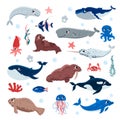 Set of cute marine mammals and fishes, bubbles and plants flat style Royalty Free Stock Photo