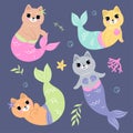 Set of cute mermaid cats. Vector graphics