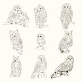 Set of 9 cute monochrome owls