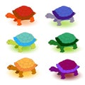 Set of cute multicolored turtles isolated on white background Royalty Free Stock Photo